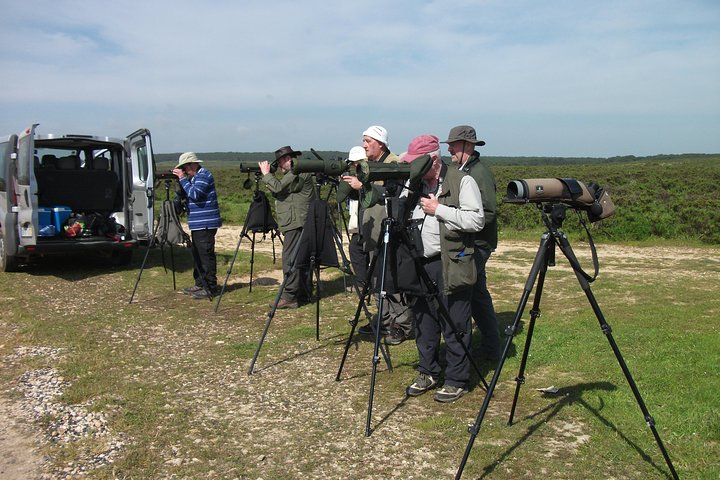 A group watching birds