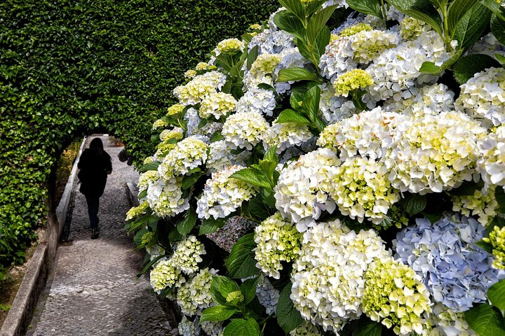 Bussaco Palace, Gardens & Forest - Photo 1 of 8