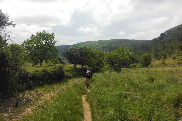 Cycling to Conimbriga Roman Ruins, self-guide, full-day from Coimbra - Photo 1 of 12