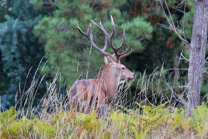 Discovering Nature in Serra da Lousã - Photo 1 of 25