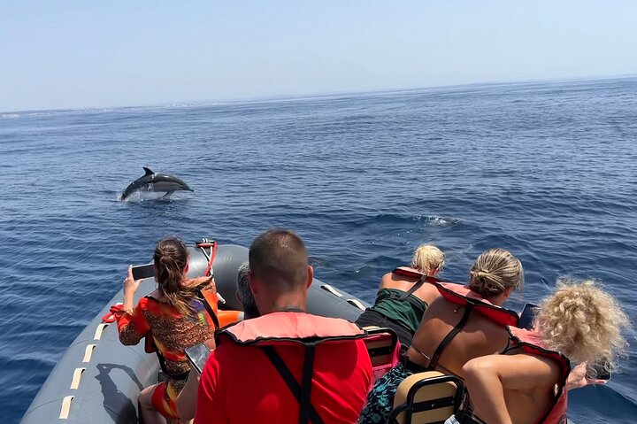 Dolphin Watch & Benagil Caves boat tour with Biologist guide  - Photo 1 of 21