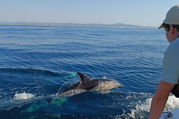 Dolphin Watching + 2 Islands Tour - From Faro - Photo 1 of 25