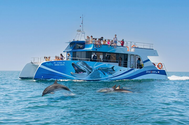 Dolphins on the move :)