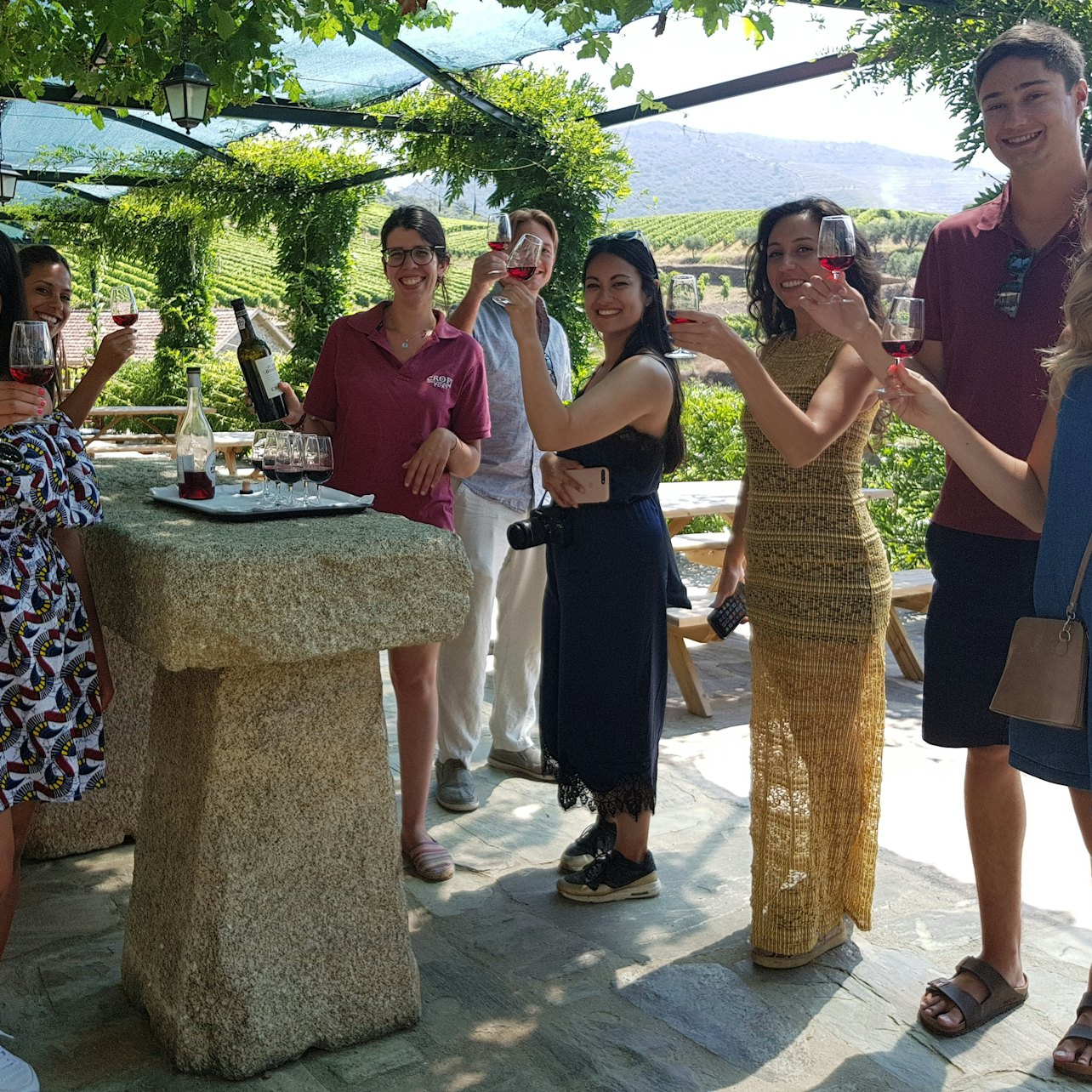 Douro Valley: Guided Wine Tour from Porto + Lunch - Photo 1 of 8