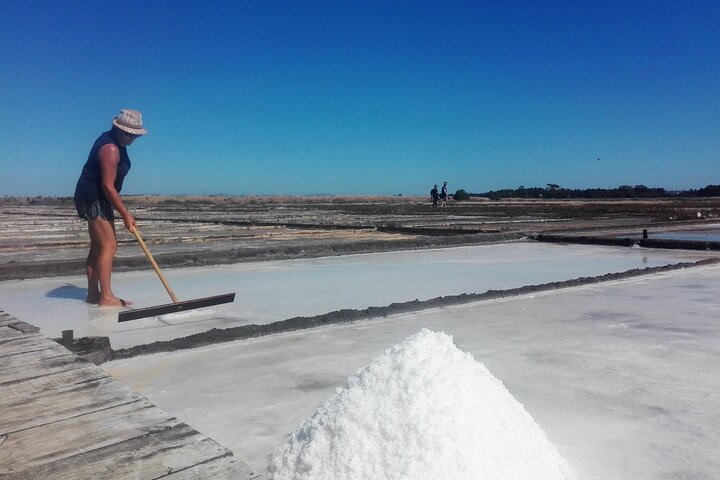 Figueira da Foz by rice paddies and salines, half-day from Coimbra - Photo 1 of 17