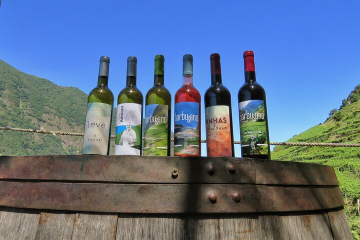 Guided 4x4 Adventure and Skywalk with Wine and Tapas in Madeira - Photo 1 of 20