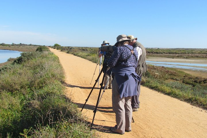 Group watching birds