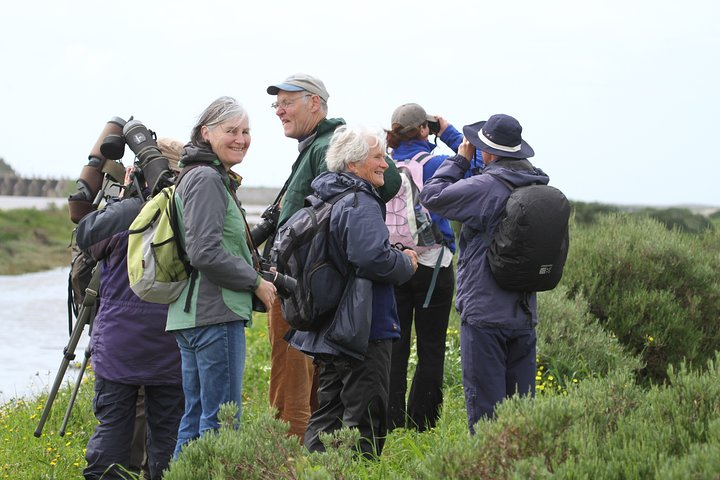 Group watching birds in Abicada