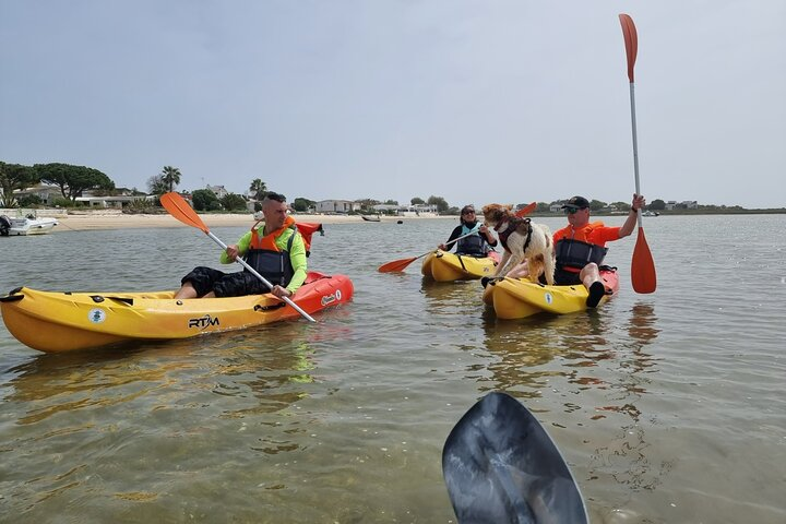 Half-Day Private Guided Kayak Island Tour  - Photo 1 of 13