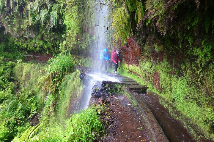 Levada do Rei