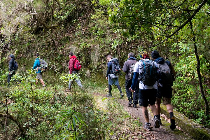 Hiking and Trekking tours in Madeira - Photo 1 of 9