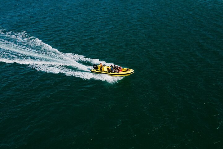 The Hop-On Hop-Off tour in Ria Formosa allows you to explore the barrier islands. In the beginning of your adventure, you are given the pick up schedule on every island (Deserta, Farol and Culatra).