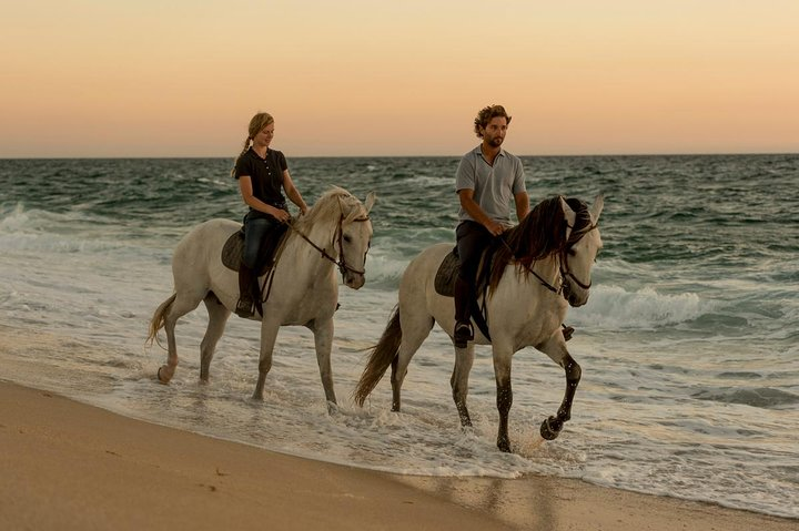 Horse Riding on the Beach - Photo 1 of 19