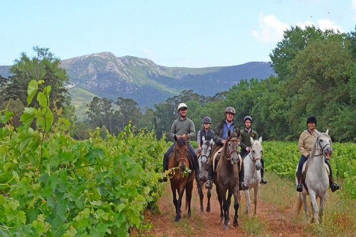 Horseback Ride Premium Experience