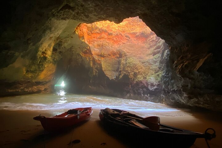 Kayak Tours with Amazing Caves, sea life and Marine Biologist . - Photo 1 of 6