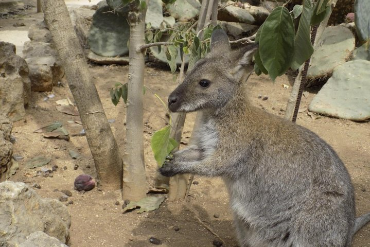 Lagos Zoo