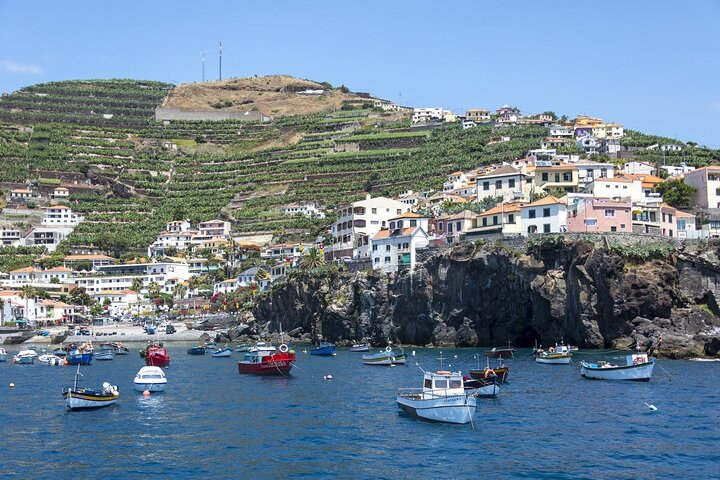 Living Sea Boat Trip in Madeira - Photo 1 of 17