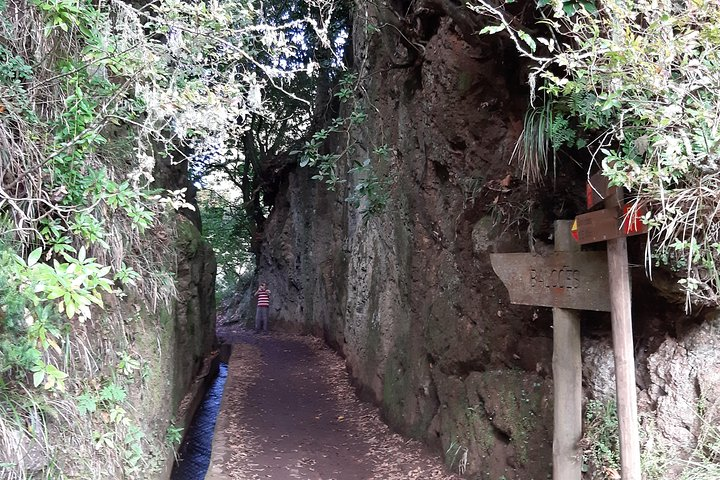 Madeira: Private 1.5-Kilometer Levada dos Balcões Hike PR11 - Photo 1 of 6