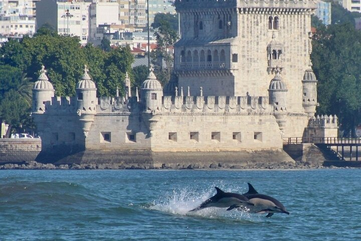 Meet the Lisbon Dolphins - Dolphin Watching in Lisbon - Photo 1 of 20