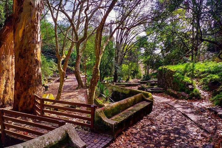 Caldas de Monchique