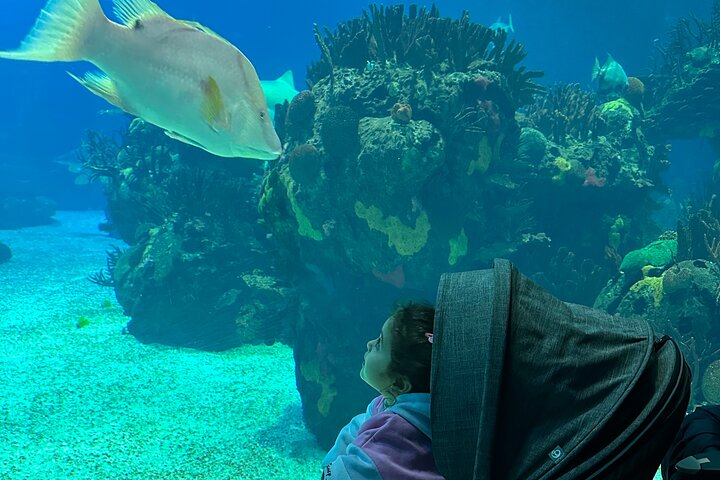 Aquarium Lisbon 