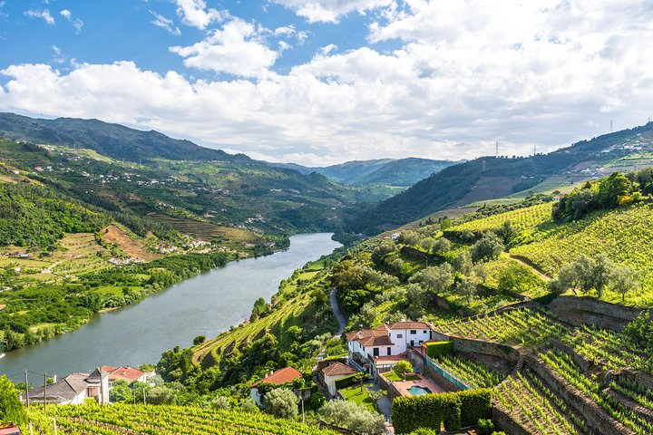 Porto: Day Trip to Douro including lunch and Rivercruise - Photo 1 of 10