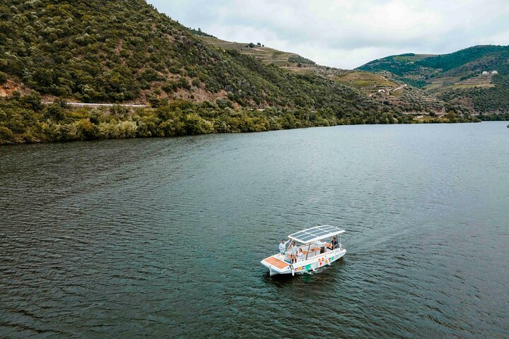 Private 1h Solar Boat Tour on the Douro River - Photo 1 of 6