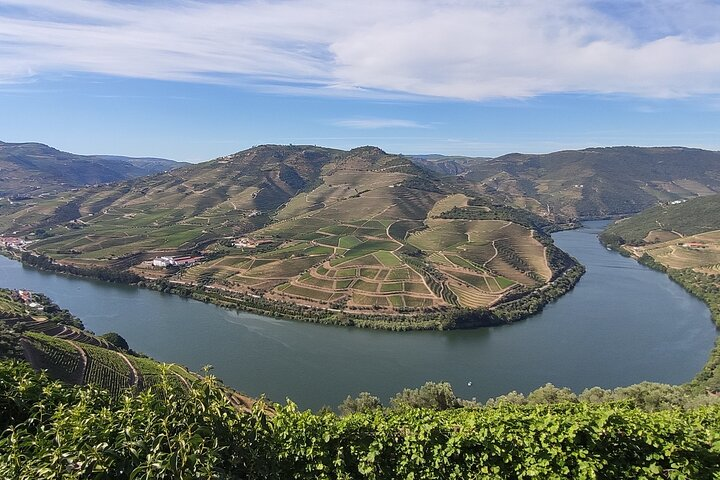 Private Day Tour in Douro Vinhateiro - Photo 1 of 10