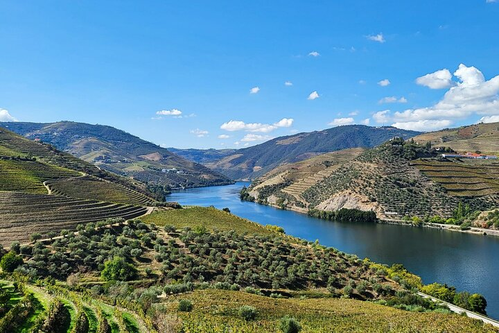 Private Tour Through the Douro Valley (wineries + boat) - Photo 1 of 4