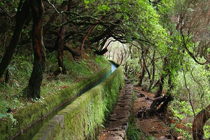 Rabacal - levada