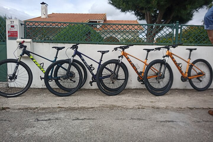 Rent a Bike Full Day from Coimbra - Photo 1 of 12