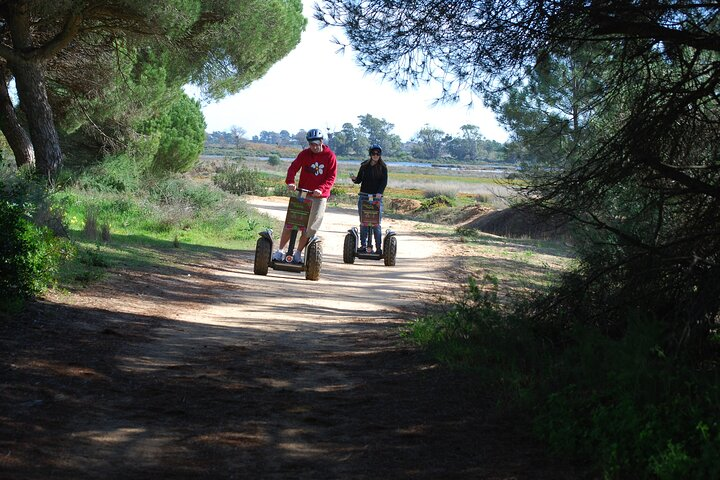 Ria Formosa Natural Park Birdwatching Segway Tour from Faro - Photo 1 of 13