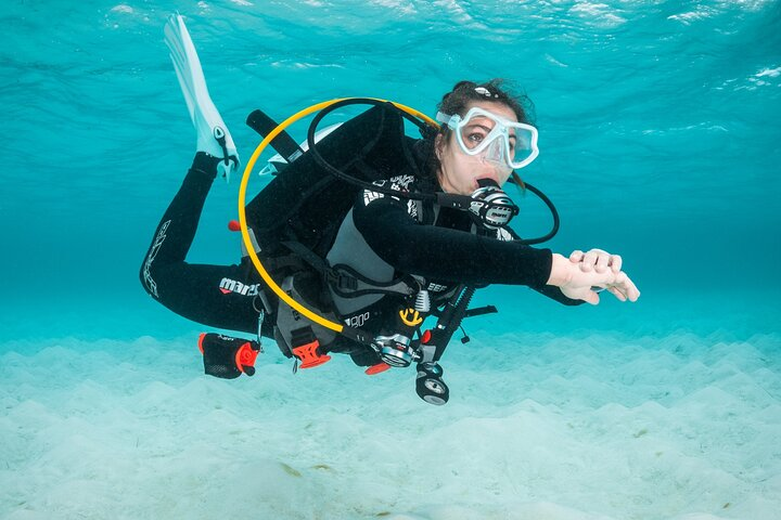 Scuba Diving Experience in Madeira - Photo 1 of 16