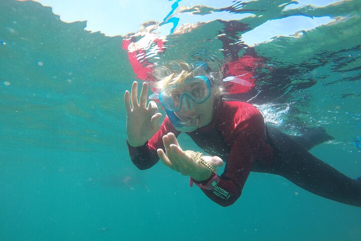 Snorkeling - Marine Park Discovery  - Photo 1 of 10