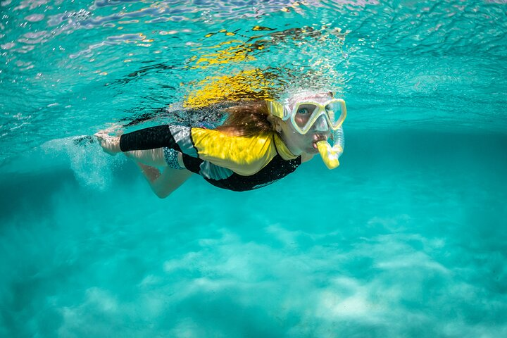 Snorkelling Trip Marine reserve of Garajau - Photo 1 of 12