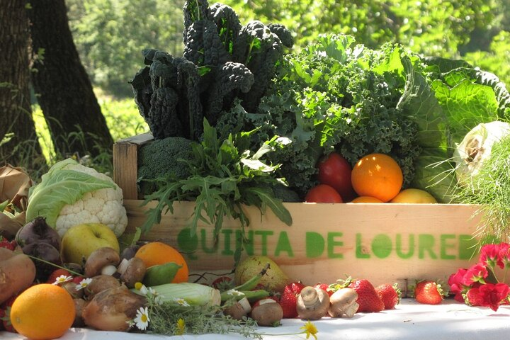 Traditional Cooking Class & Farm Tour in the Douro Valley - Photo 1 of 7