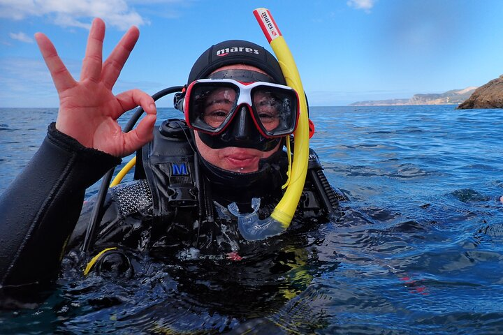 Try Scuba Diving in Arrabida Natural Park (Near Lisbon) with pictures - Photo 1 of 12