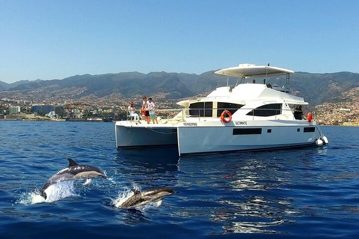 VipDolphins Luxury Whale Watching - Photo 1 of 25