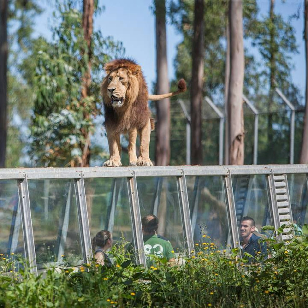 Zoo Santo Inácio: Skip The Line - Photo 1 of 17