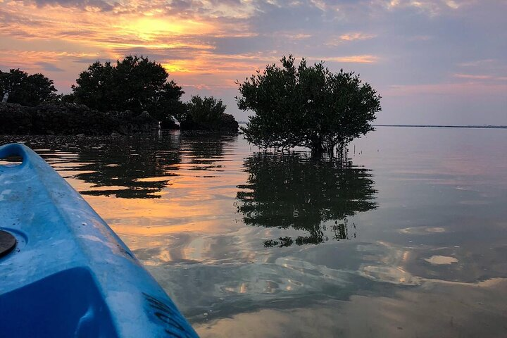 3-Hour Kayaking Eco Adventure - Mangrove Purple Island  - Photo 1 of 11