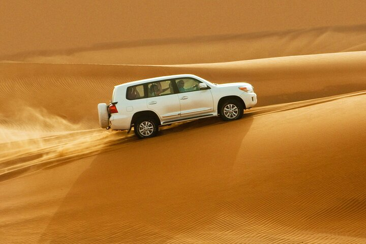 Royal Desert Safari