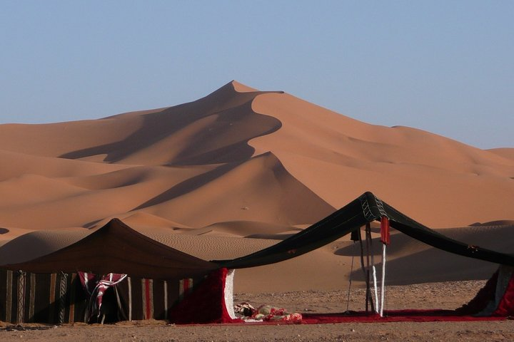 Premium Full-Day Safari, Dune Bash, Camel Ride and BBQ Meal in Desert Camp - Photo 1 of 13