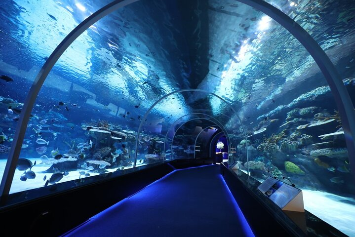 Private Hamad Port Tour in Mesaieed |Aquarium |Maritime Museum - Photo 1 of 6