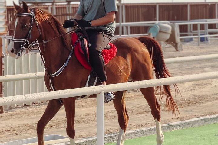 Private Horseback Riding Experience in Doha - Photo 1 of 6