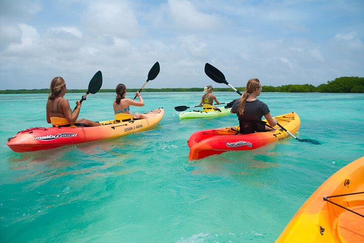 Private Tour Purple Island Mangroves Kayaking Adventure in Qatar - Photo 1 of 6