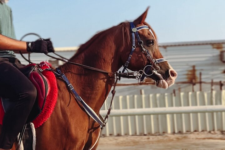 Private-Half Day Safari with Horse Ride/Camel Ride - Photo 1 of 6