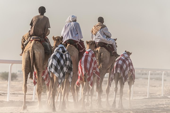 Camel back ride