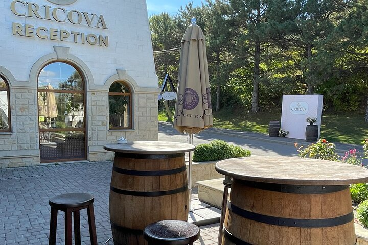 Cricova Cellars - Visit and tasting session - Photo 1 of 6