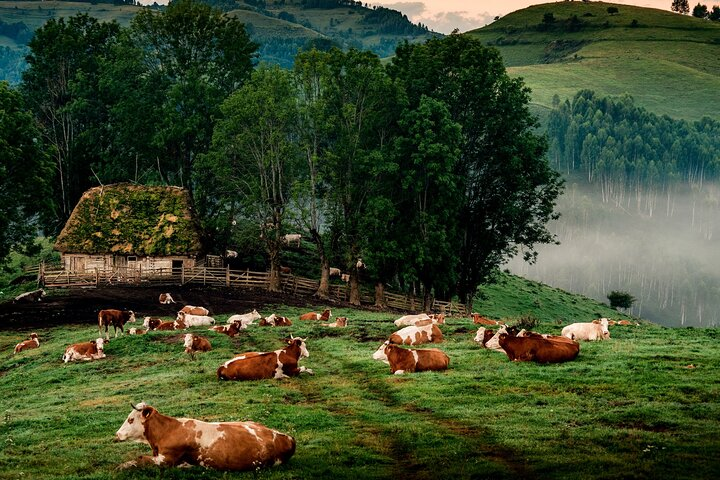 Discover Apuseni Mountains - Scarita Summit,Sipote Waterfall and Dumesti Village - Photo 1 of 18