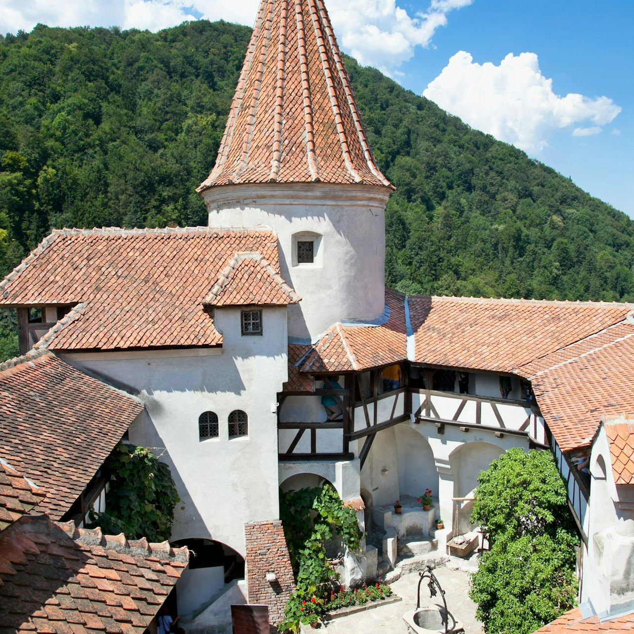 Dracula's Castle: Fast Track + Guided Tour - Photo 1 of 7